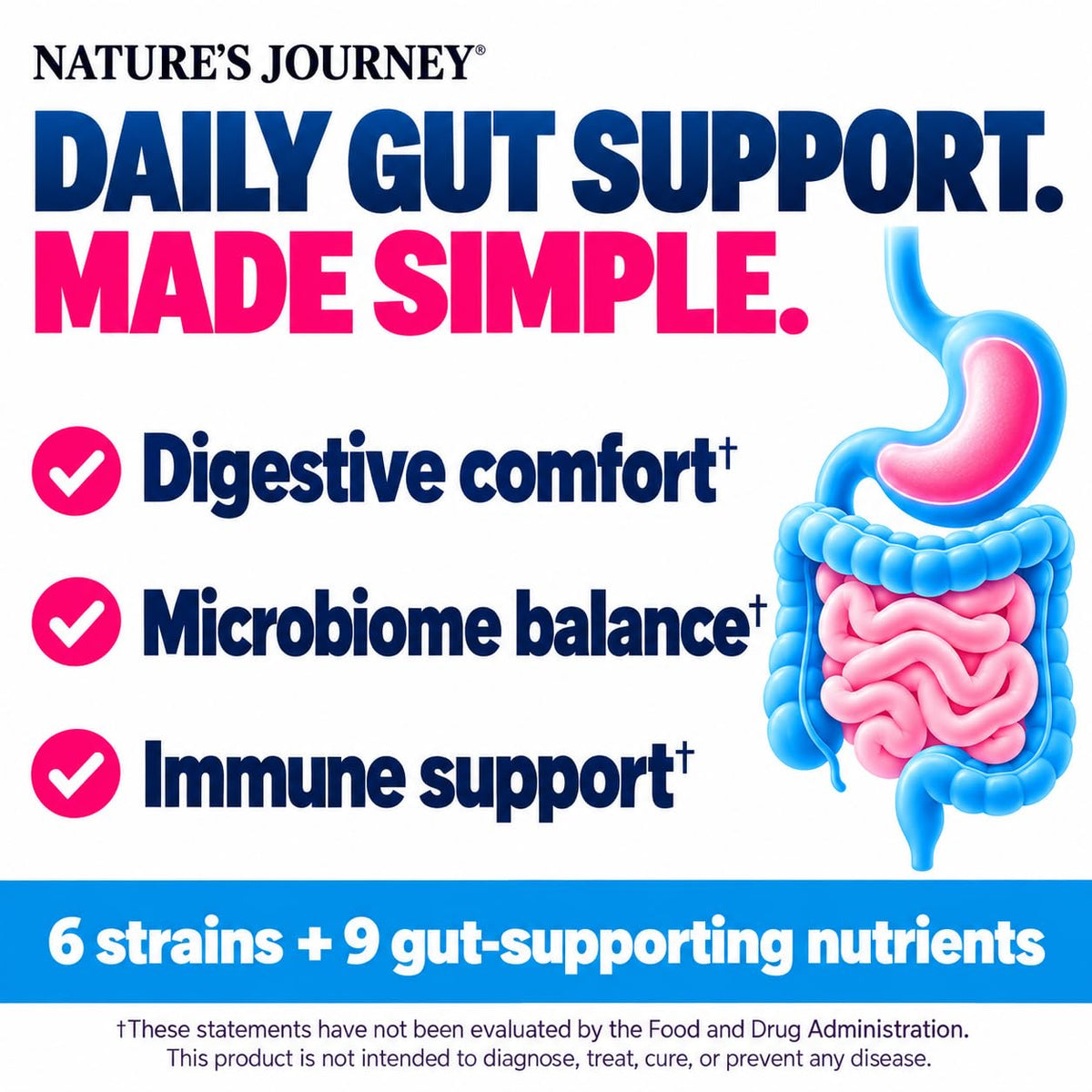 Daily gut support made simple: digestive comfort, microbiome balance, immune support