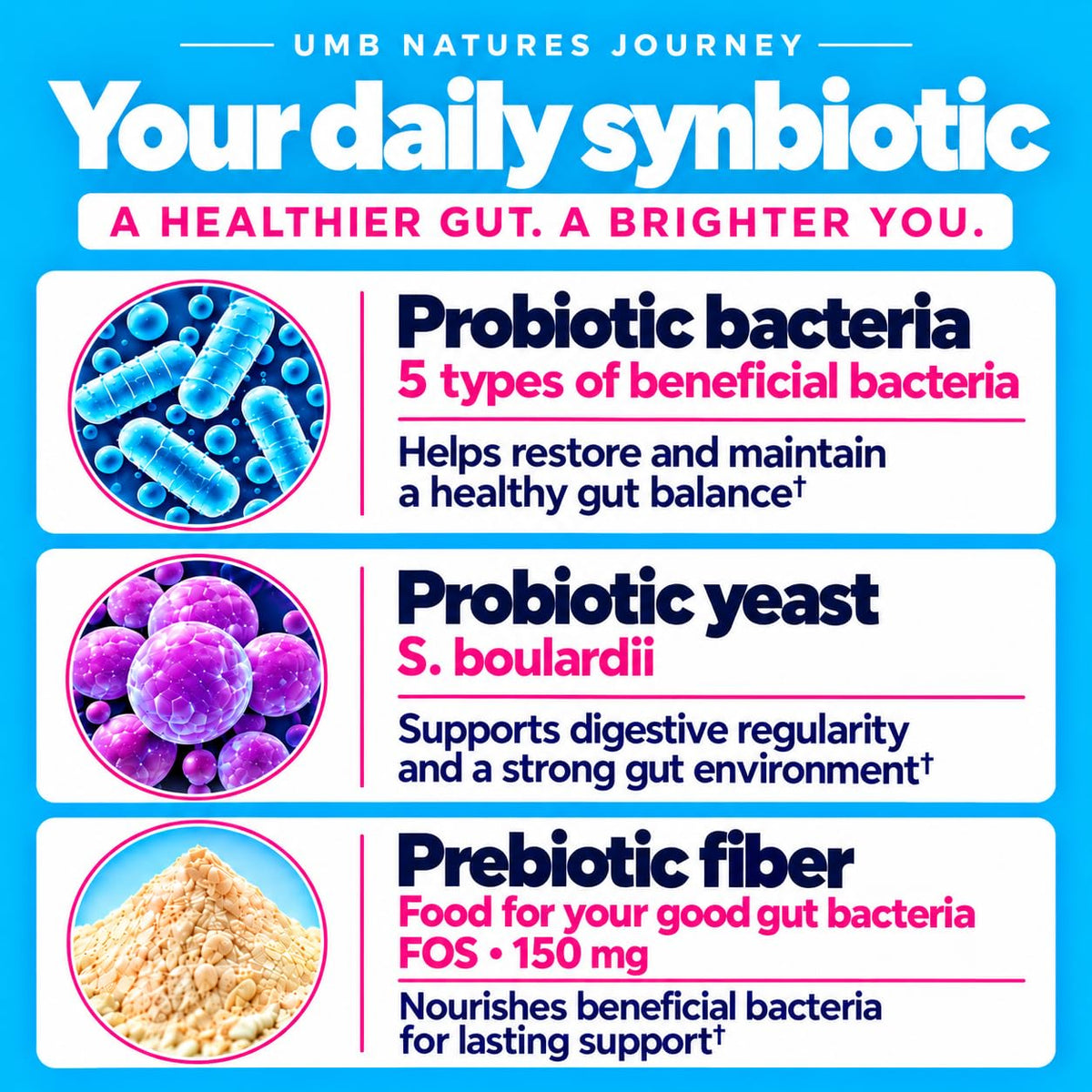 Probiotic bacteria, probiotic yeast and prebiotic fiber